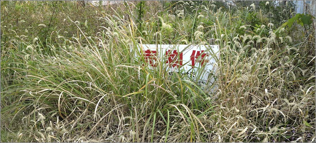 売れない原因