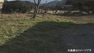 サンプルイメージ