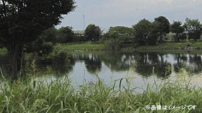 サンプルイメージ